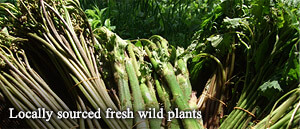 Locally sourced fresh wild plants