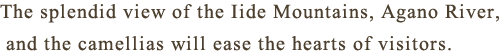 The splendid view of the Iide Mountains, Agano River, and the camellias will ease the hearts of visitors.