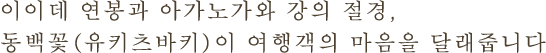 이이데 연봉과 아가노가와 강의 절경, 동백꽃(유키츠바키)이 여행객의 마음을 달래줍니다